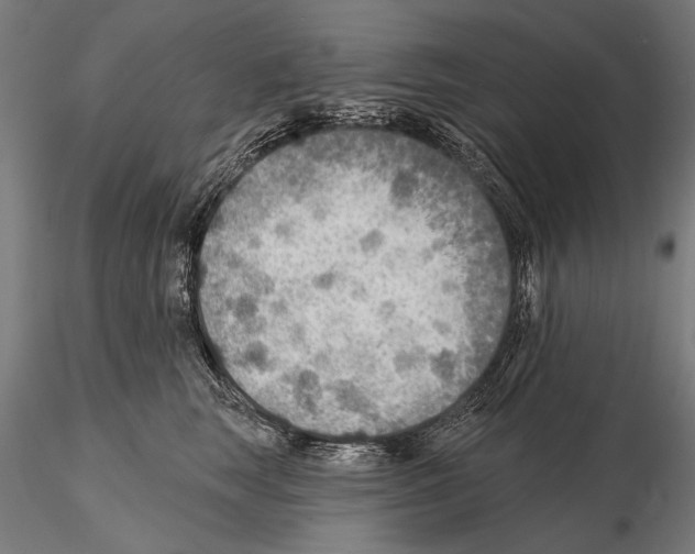 X0000114610663200912010938