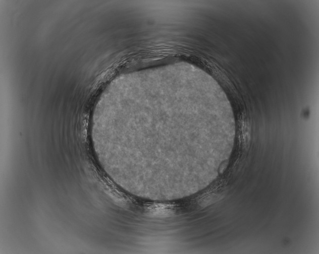 X0000114610664200912010938