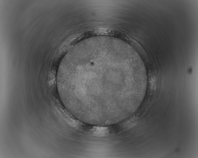 X0000114610665200912010938