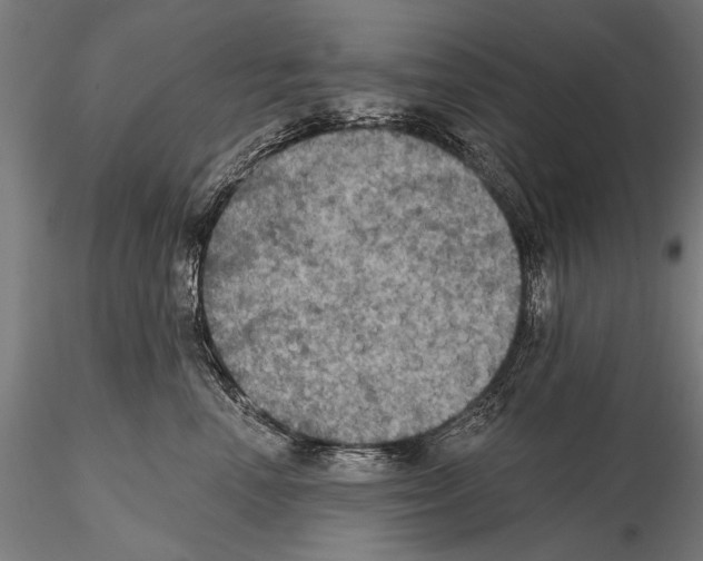 X0000114610666200912010938