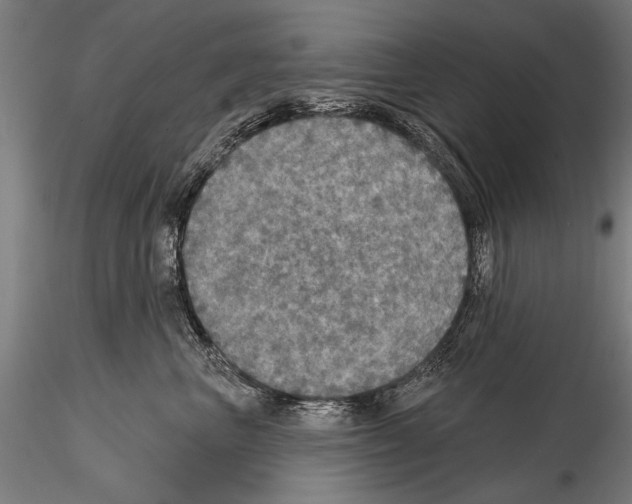 X0000114610667200912010938