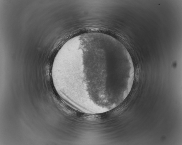 X0000114610670200912010939