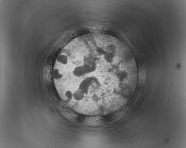 X0000114610671200912010939