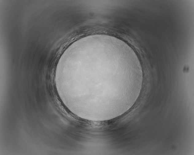 X0000114610672200912010939