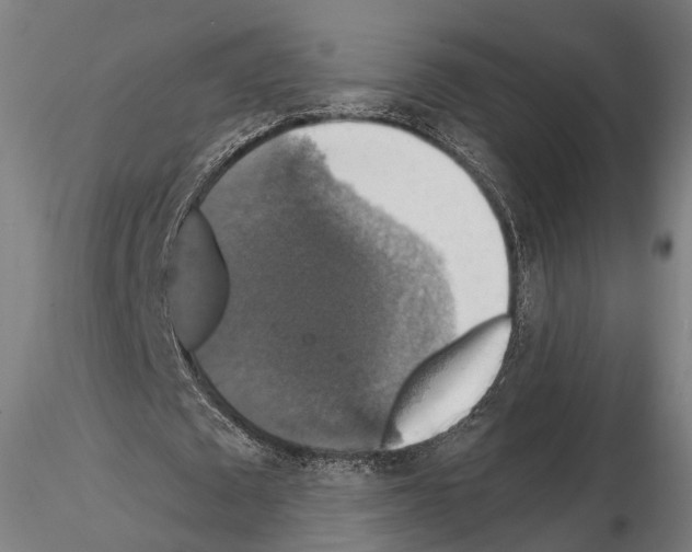 X0000114610673200912010938