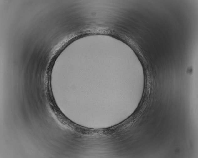 X0000114610674200912010938