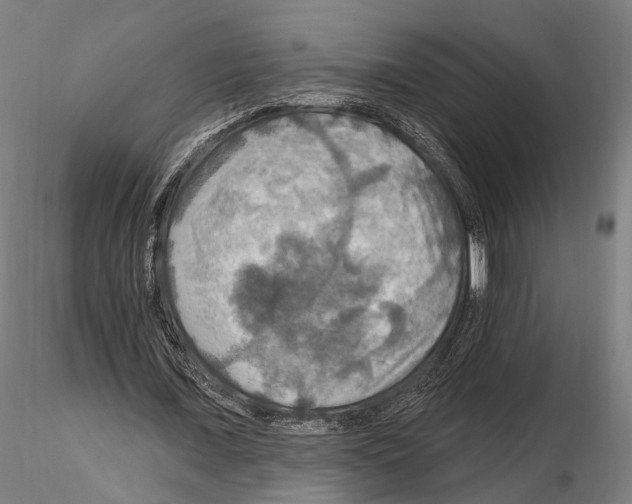 X0000114610675200912010938