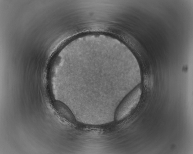 X0000114610676200912010938