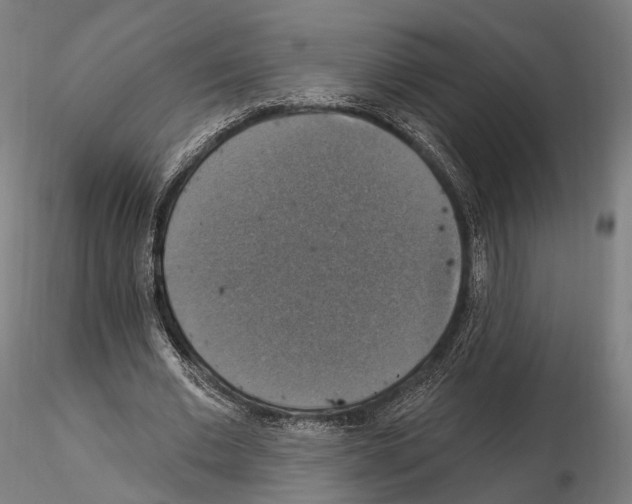 X0000114610677200912010938