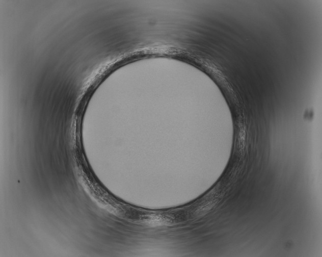 X0000114610678200912010938