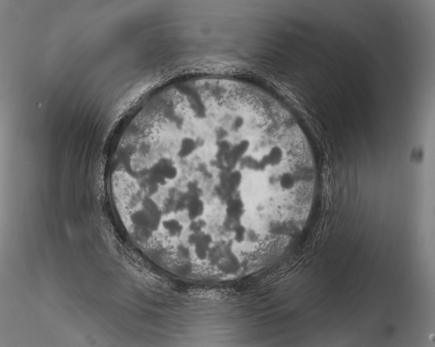 X0000114610679200912010938