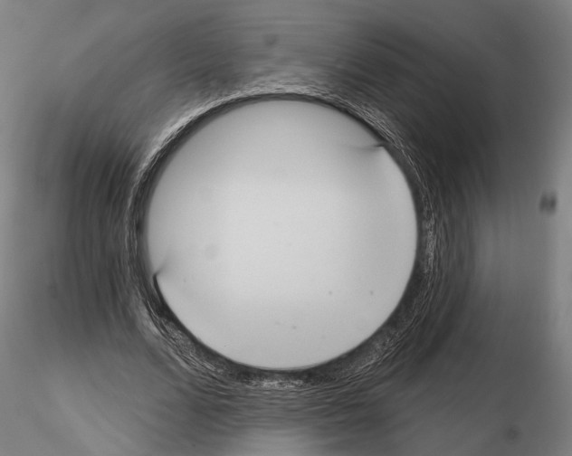 X0000114610680200912010938