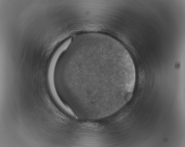 X0000114610681200912010938