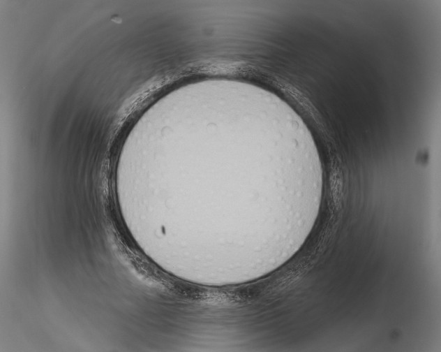 X0000114610682200912010938