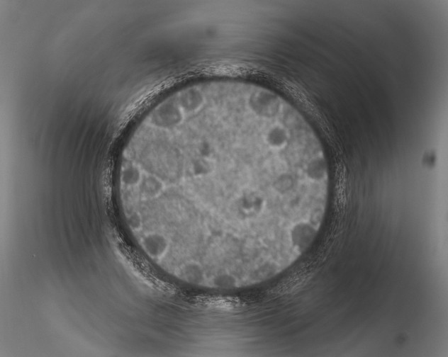 X0000114610683200912010938