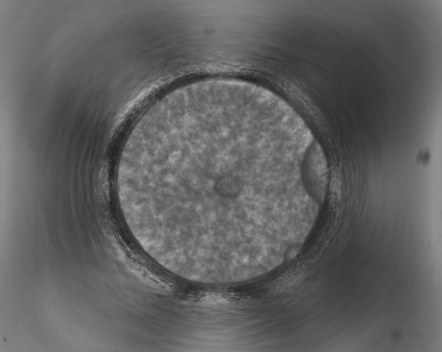 X0000114610684200912010938