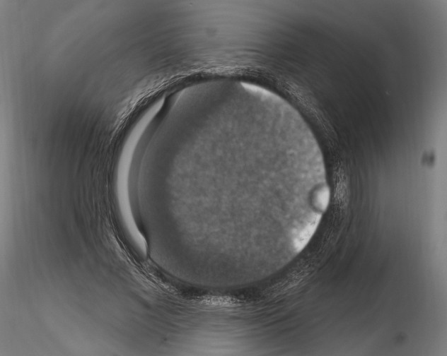 X0000114610685200912010938