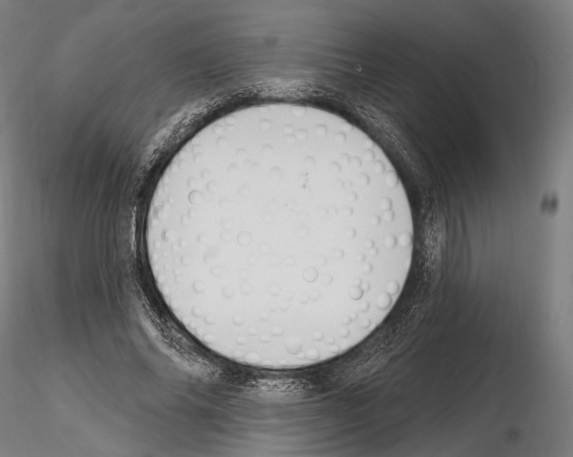 X0000114610686200912010938