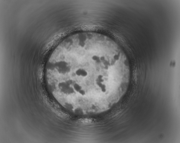 X0000114610687200912010938