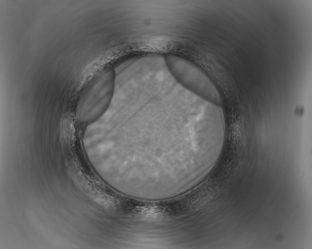 X0000114610688200912010938