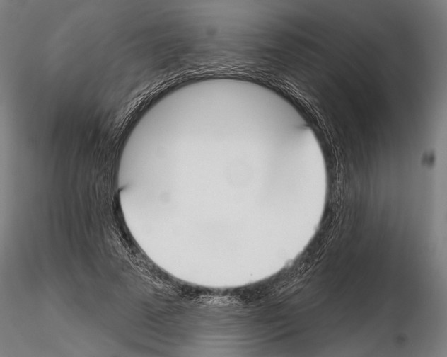 X0000114610689200912010938