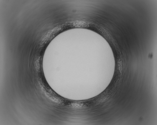 X0000114610690200912010938