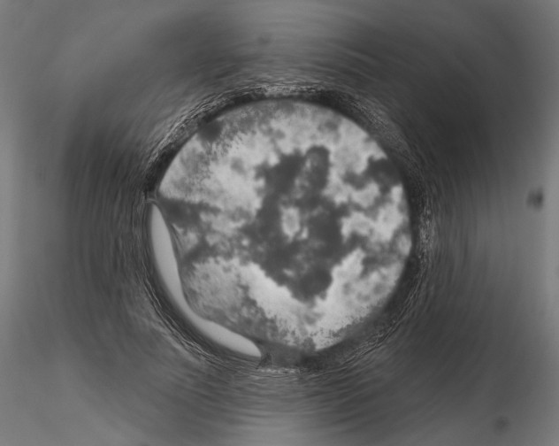 X0000114610691200912010938