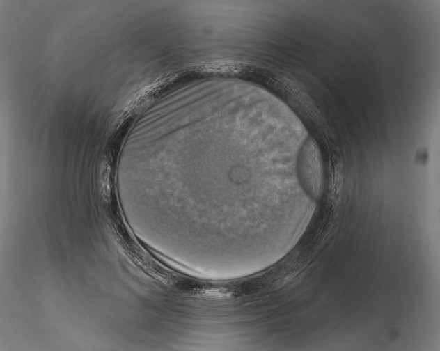 X0000114610692200912010937