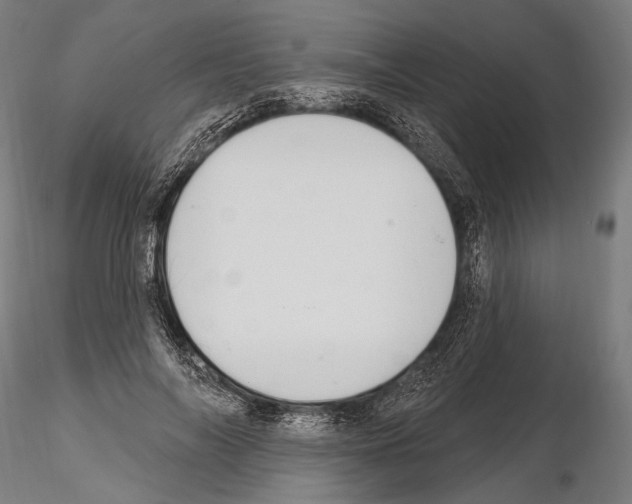 X0000114610694200912010937