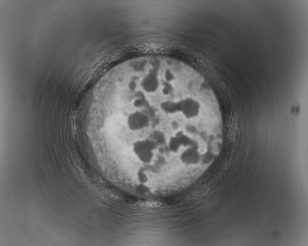 X0000114610695200912010937