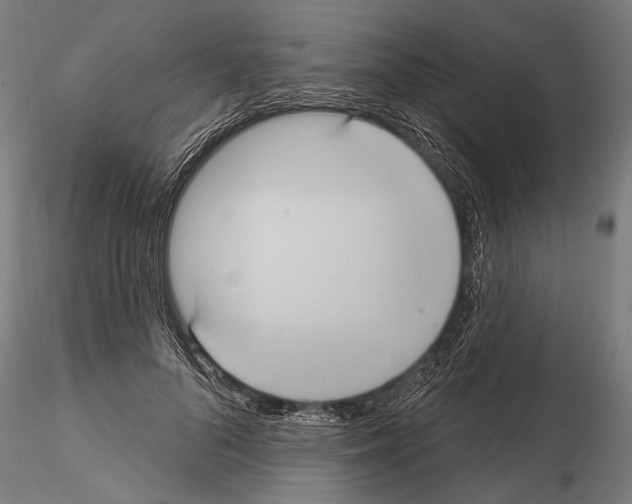 X0000114610696200912010937