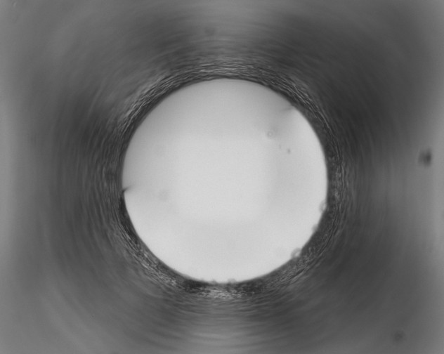 X0000114610697200912010937