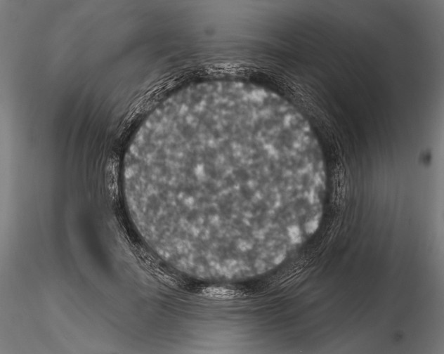 X0000114610699200912010937