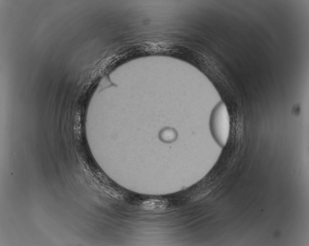 X0000114610700200912010937