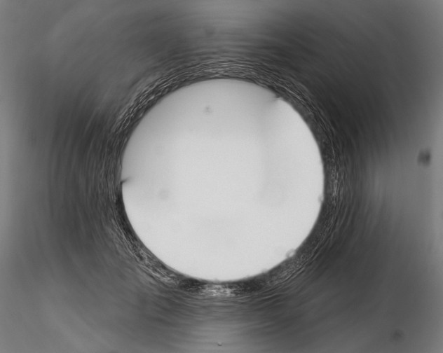 X0000114610701200912010937