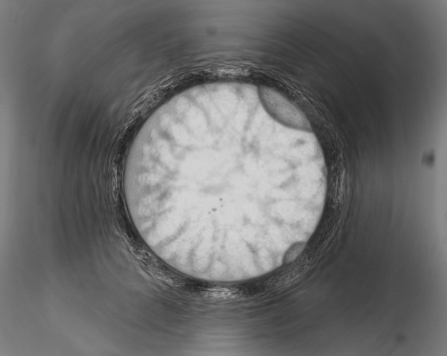 X0000114610704200912010937