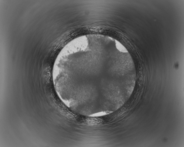 X0000114610707200912010937