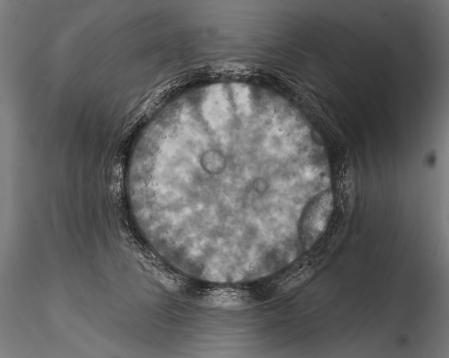 X0000114610708200912010937