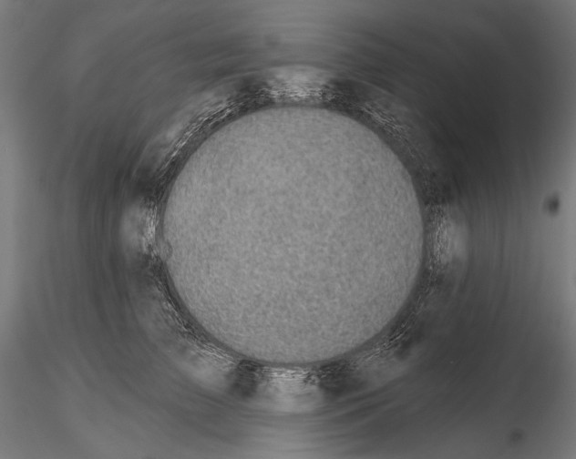 X0000114610709200912010937