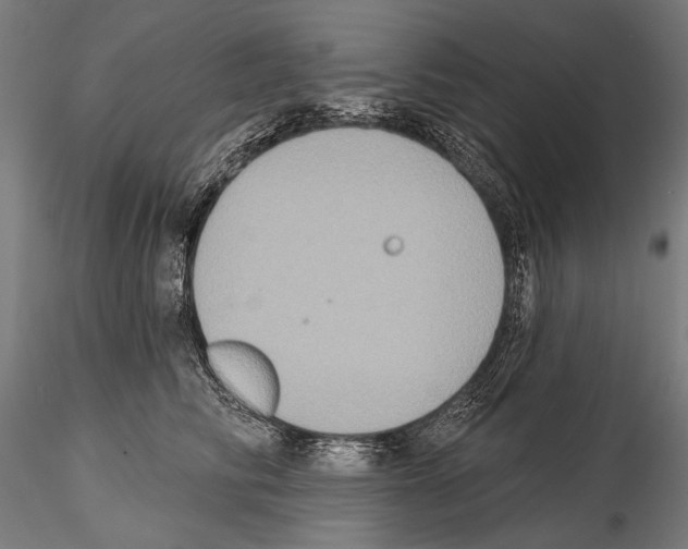 X0000114610710200912010937