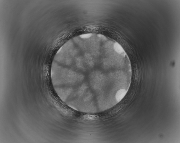 X0000114610711200912010937