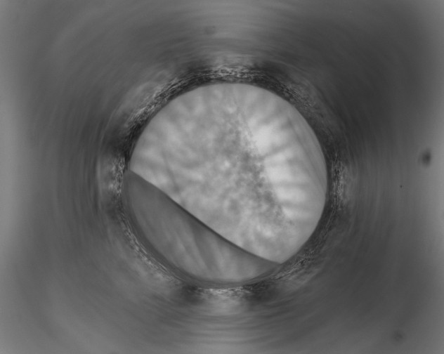 X0000114610712200912010937