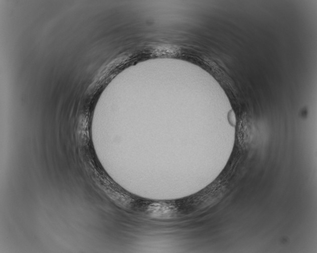 X0000114610714200912010937