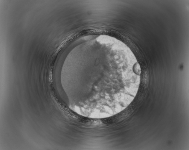 X0000114610715200912010937