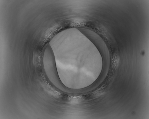 X0000114610716200912010937