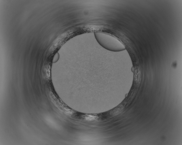 X0000114610718200912010937