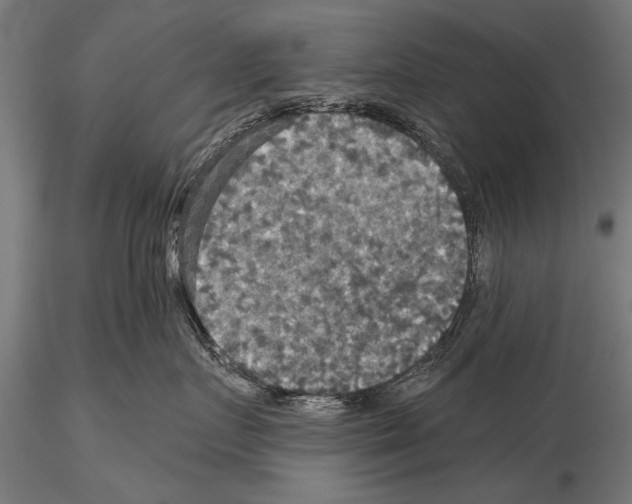 X0000114610719200912010937