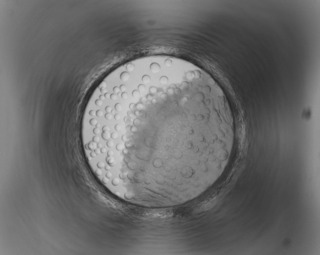 X0000114610721200912010936