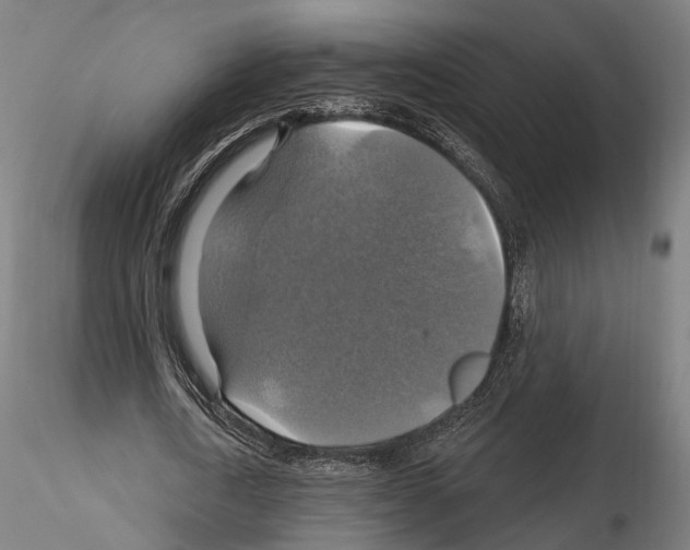 X0000114610722200912010936