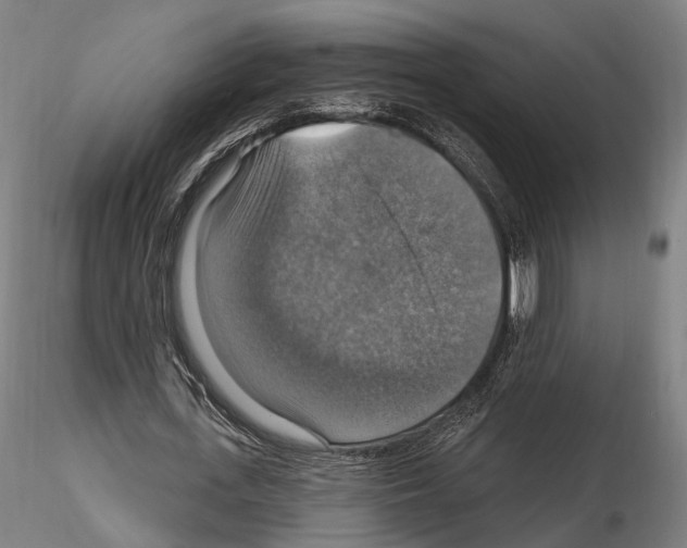 X0000114610723200912010936